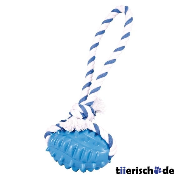 Rugby am Band Bild 1