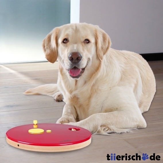 Hunde Intelligenzspielzeug Dog Activity Roulette Bild 3