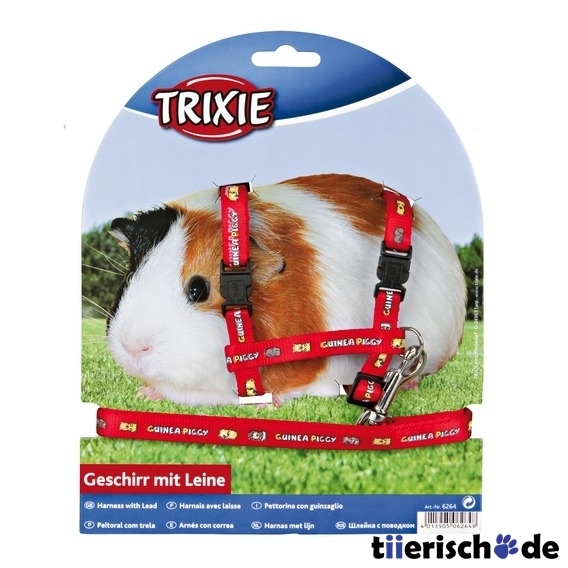 Meerschweinchen Garnitur Bild 1