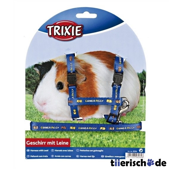 Meerschweinchen Garnitur Bild 2