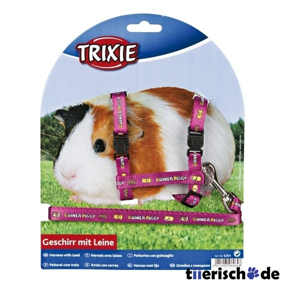 Meerschweinchen Garnitur Bild 3