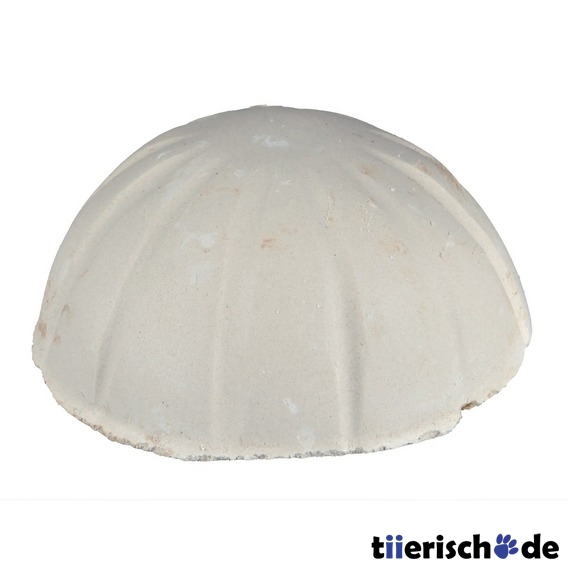 Ferien-Fischfutter Bild 2