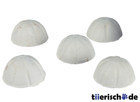 Wochenend-Fischfutter Bild 1