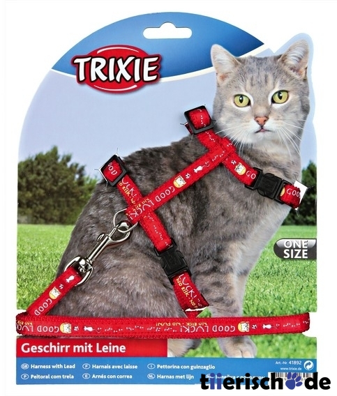 Katzengeschirr mit Leine Comic Bild 3