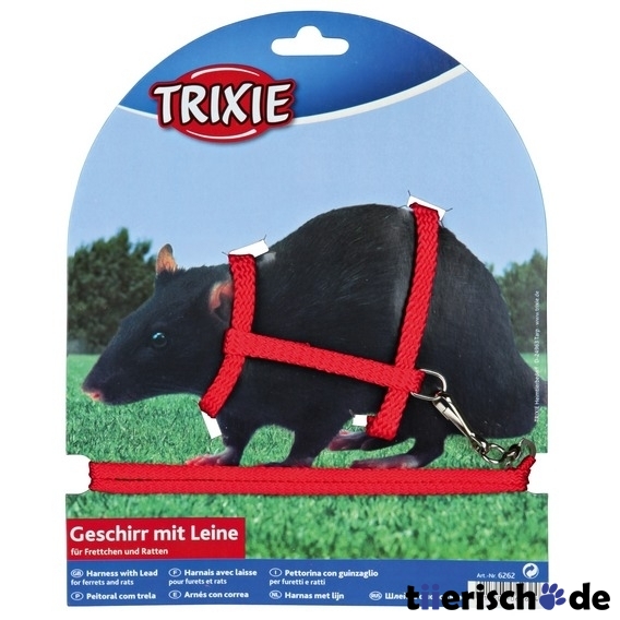 Ratten und Frettchen Garnitur Bild 2