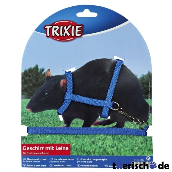 Ratten und Frettchen Garnitur Bild 3