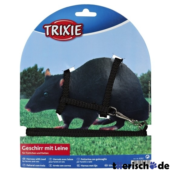 Ratten und Frettchen Garnitur Bild 4