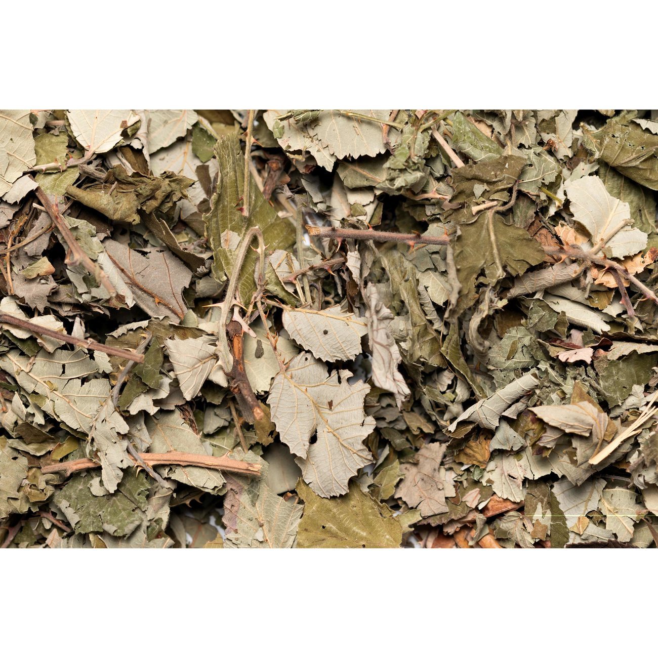 HUGRO® Nagertraum Brombeerblätter Bild 2