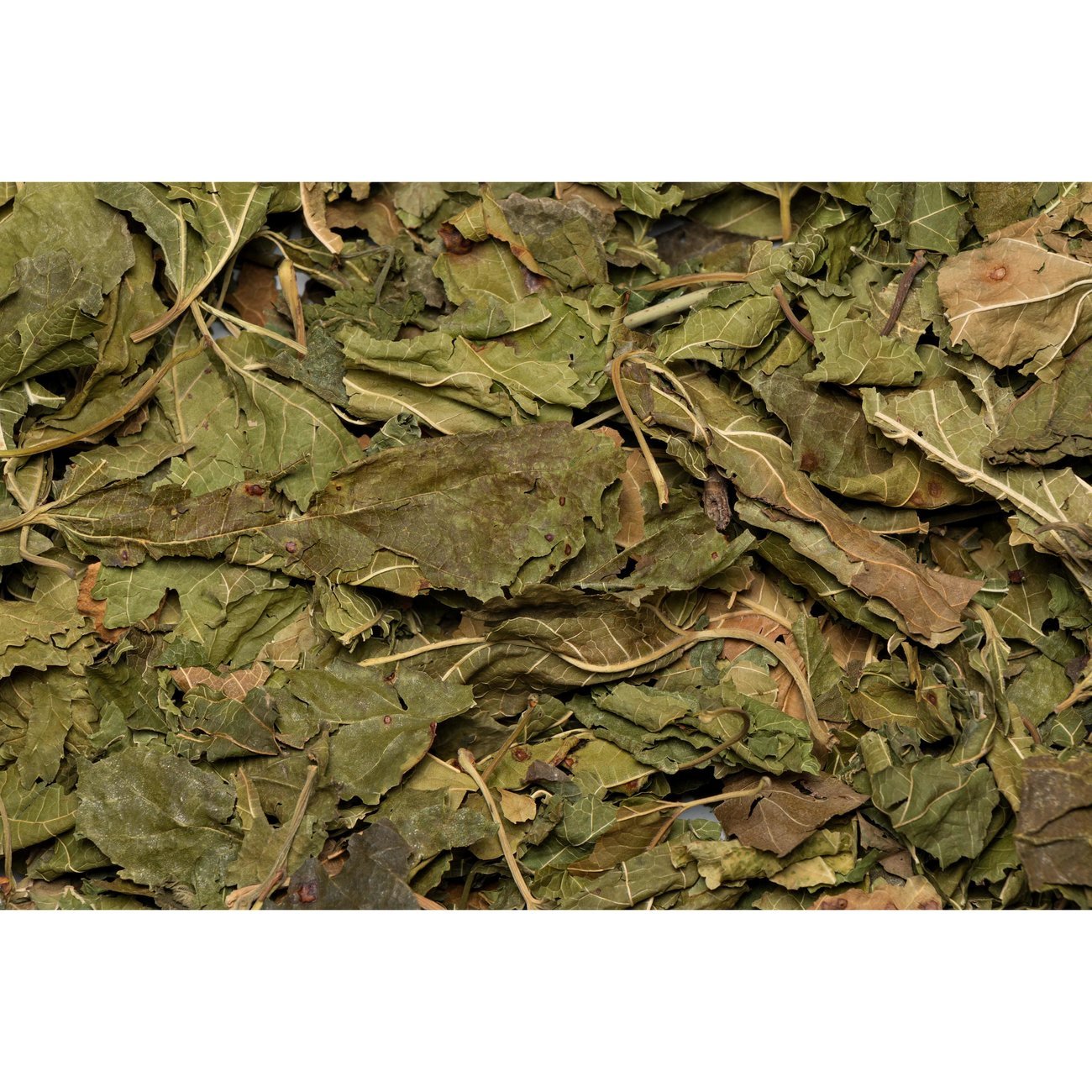 HUGRO® Nagertraum Maulbeerblätter Bild 2