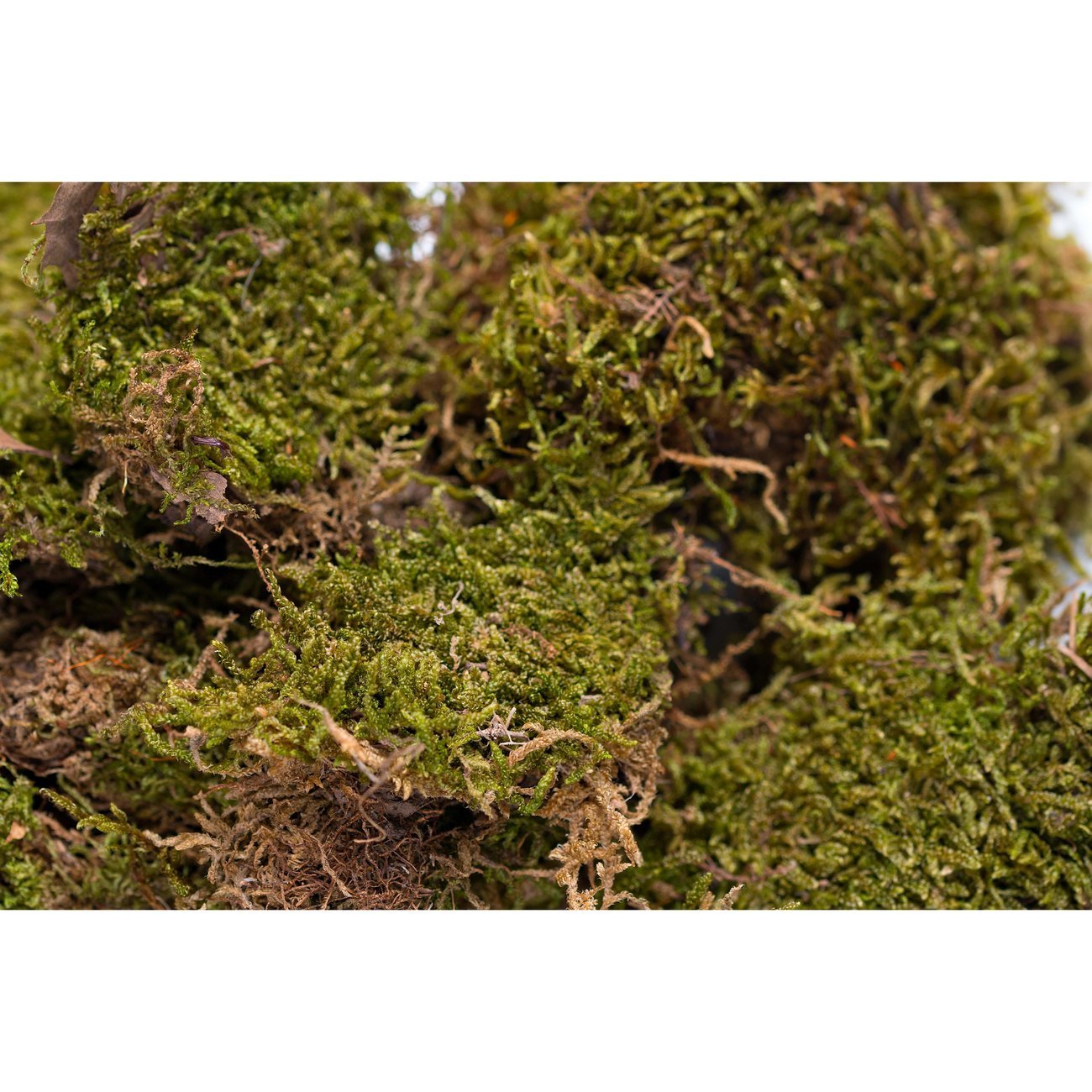 HUGRO® Nagertraum Moosfasern Bild 2