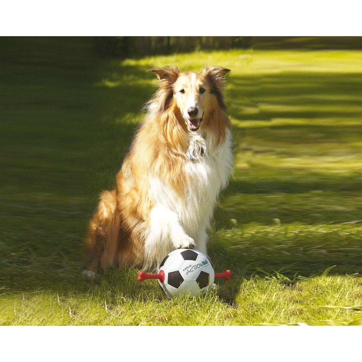 Hunde Actionball mit roten Griffen Bild 2