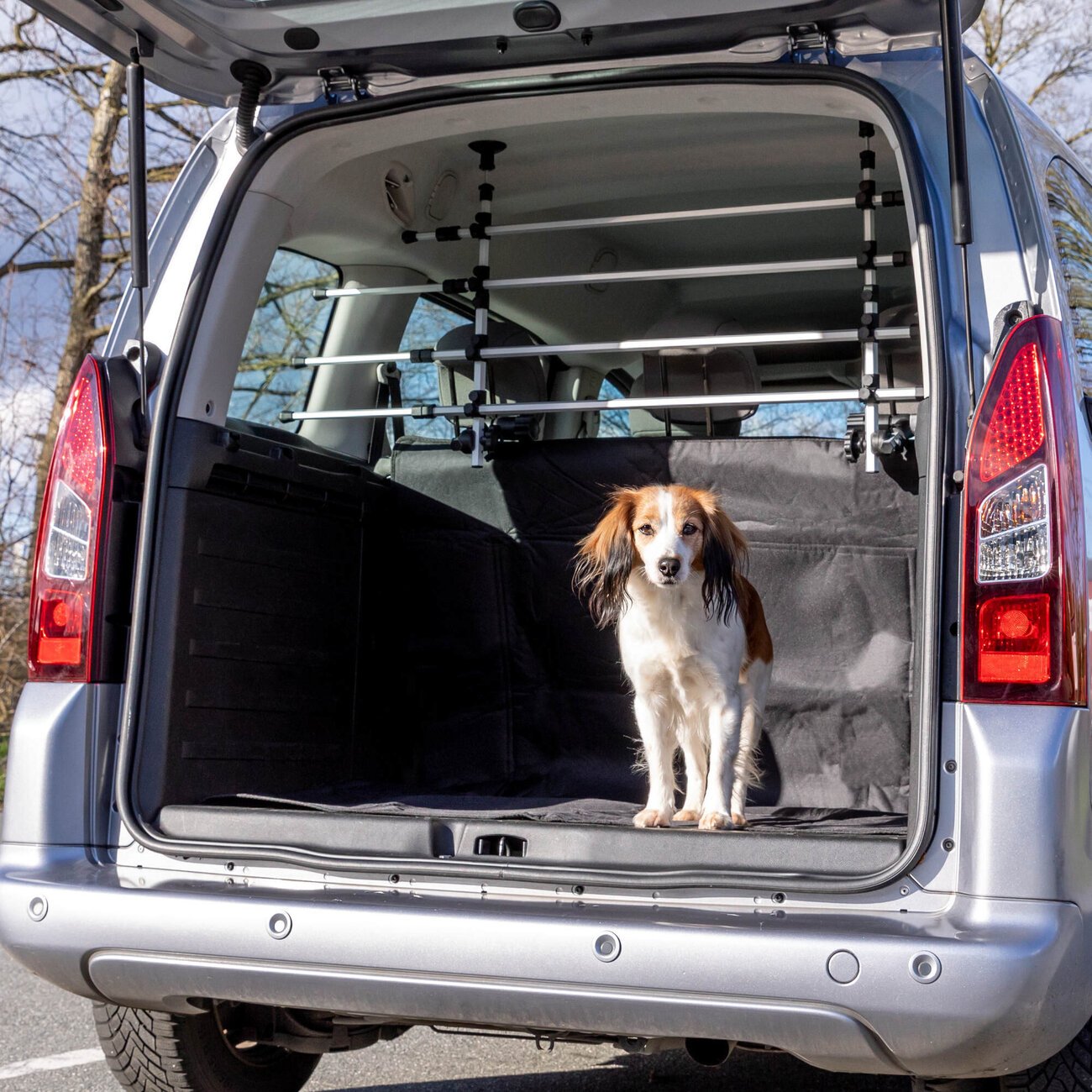 Hunde Auto-Gitter für Vans, Caddys und Kleinbusse Bild 6