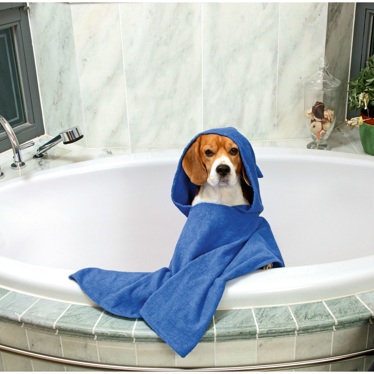 Hunde Badeponcho Bild 1