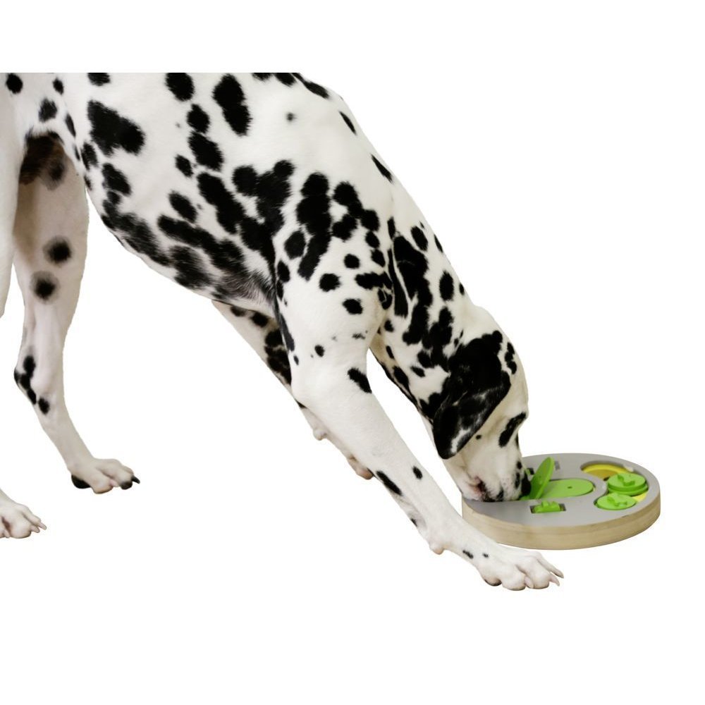 Hunde Denk- und Lernspielzeug Face Bild 4