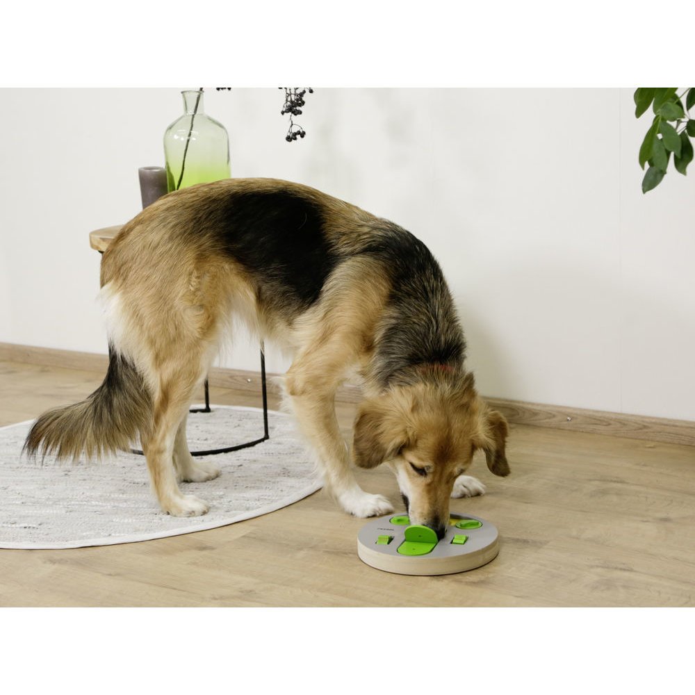 Hunde Denk- und Lernspielzeug Face Bild 2