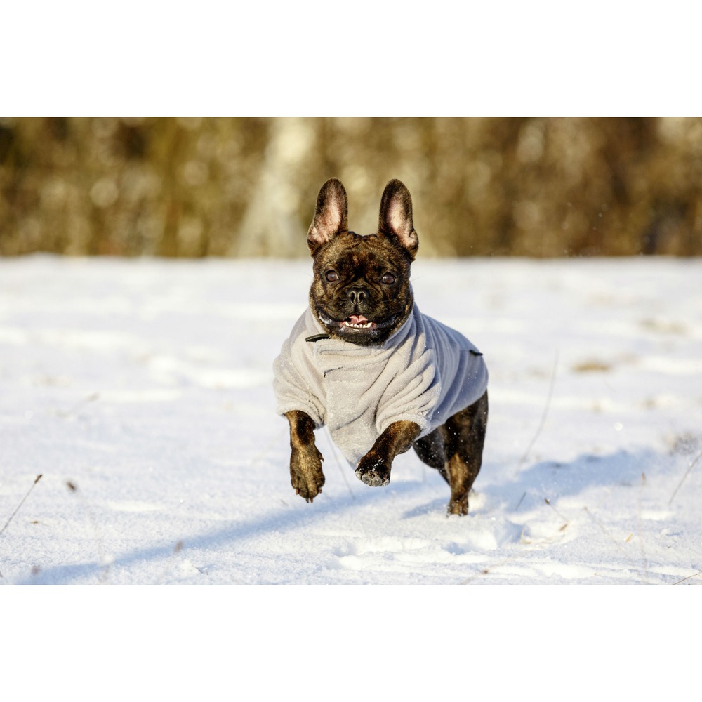 Hunde Fleecemantel Bern Bild 2