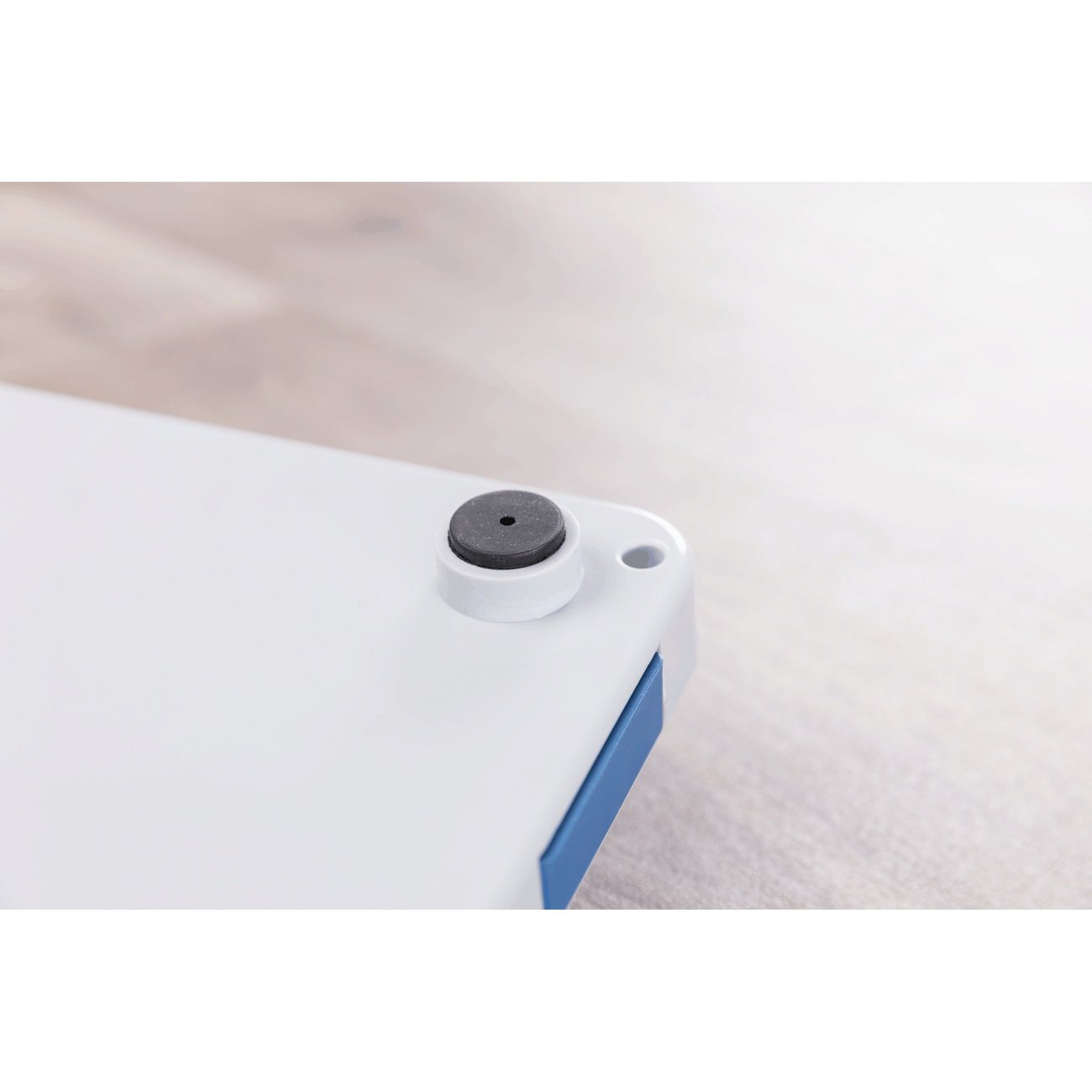 Dog Activity Strategiespiel Move2Win für Hunde Bild 9