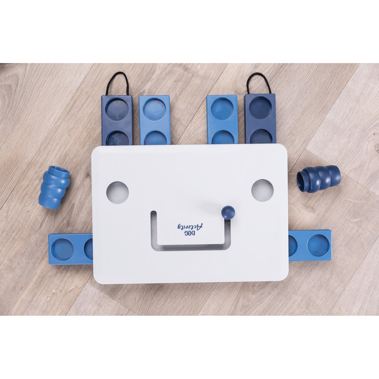 Dog Activity Strategiespiel Move2Win für Hunde Bild 4