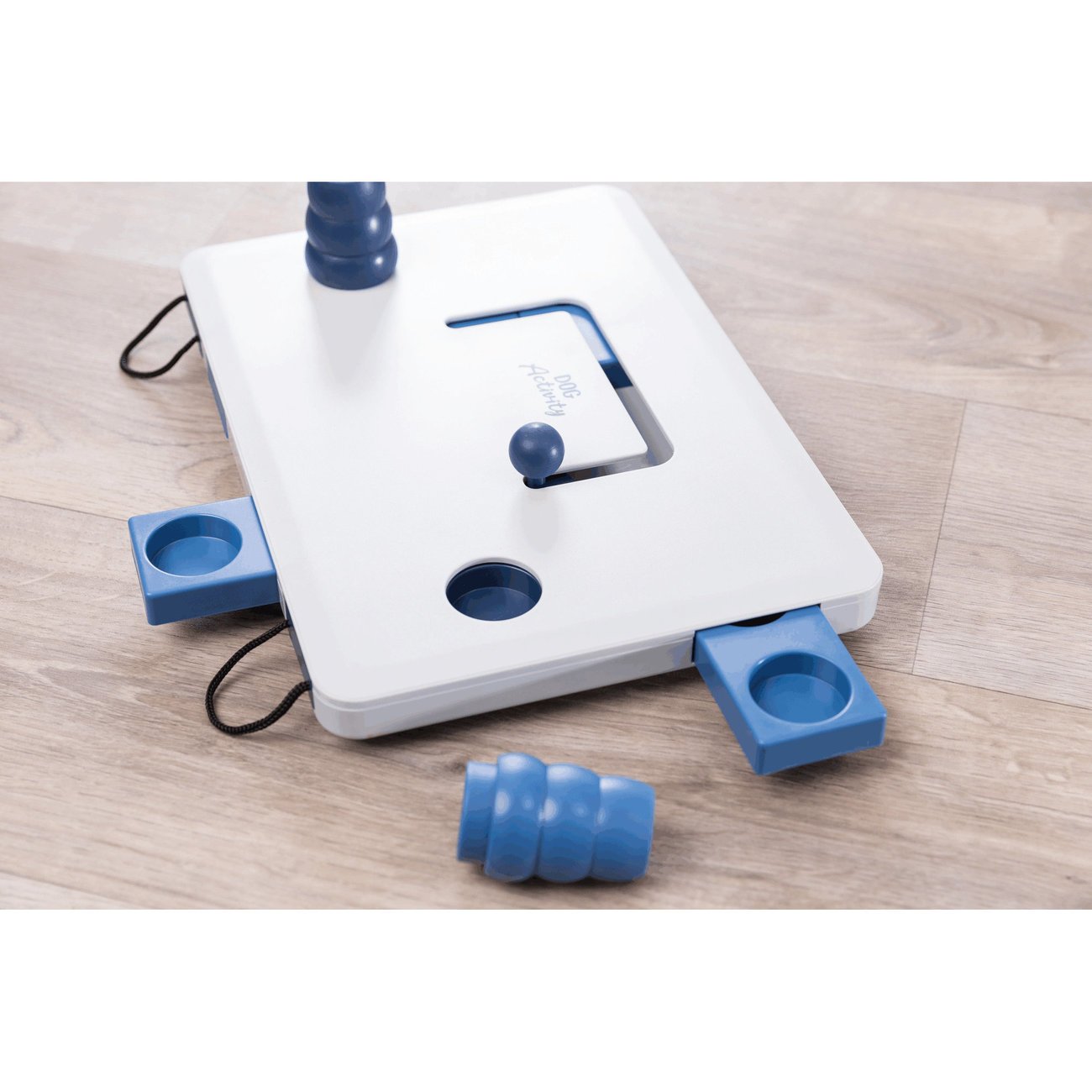 Dog Activity Strategiespiel Move2Win für Hunde Bild 10