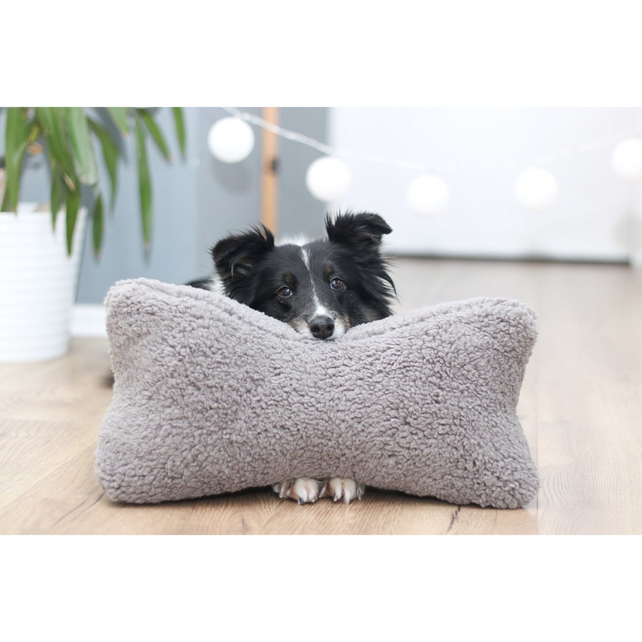 Hunde Kopfkissen Bendson Bild 5