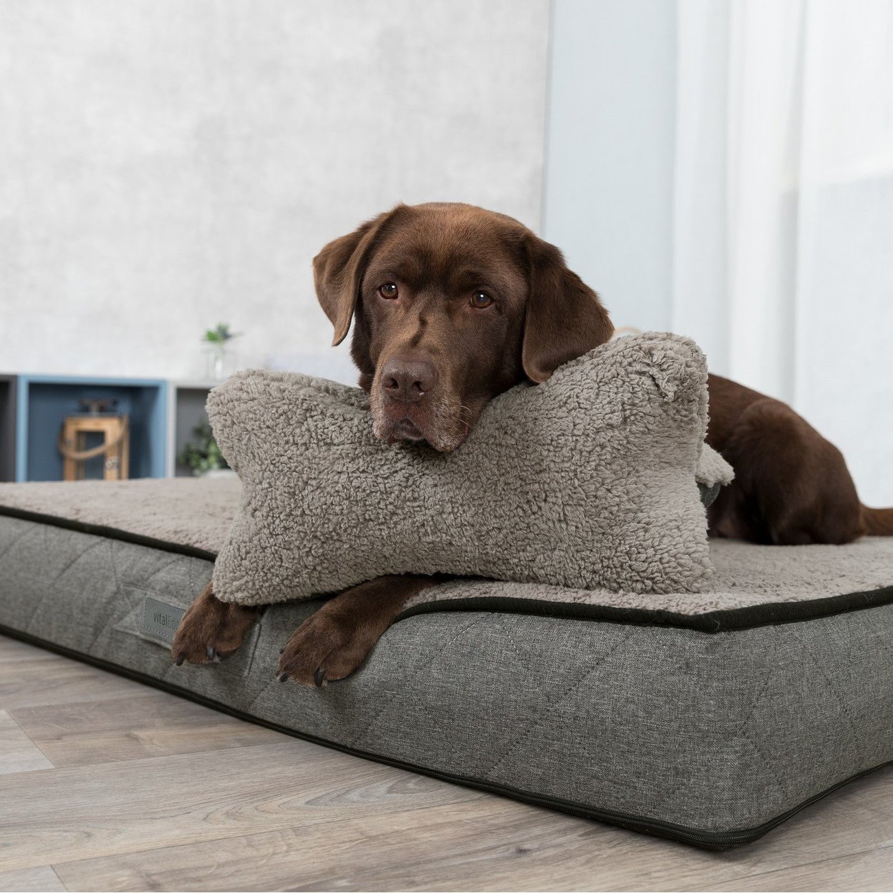 Hunde Kopfkissen Bendson Bild 2