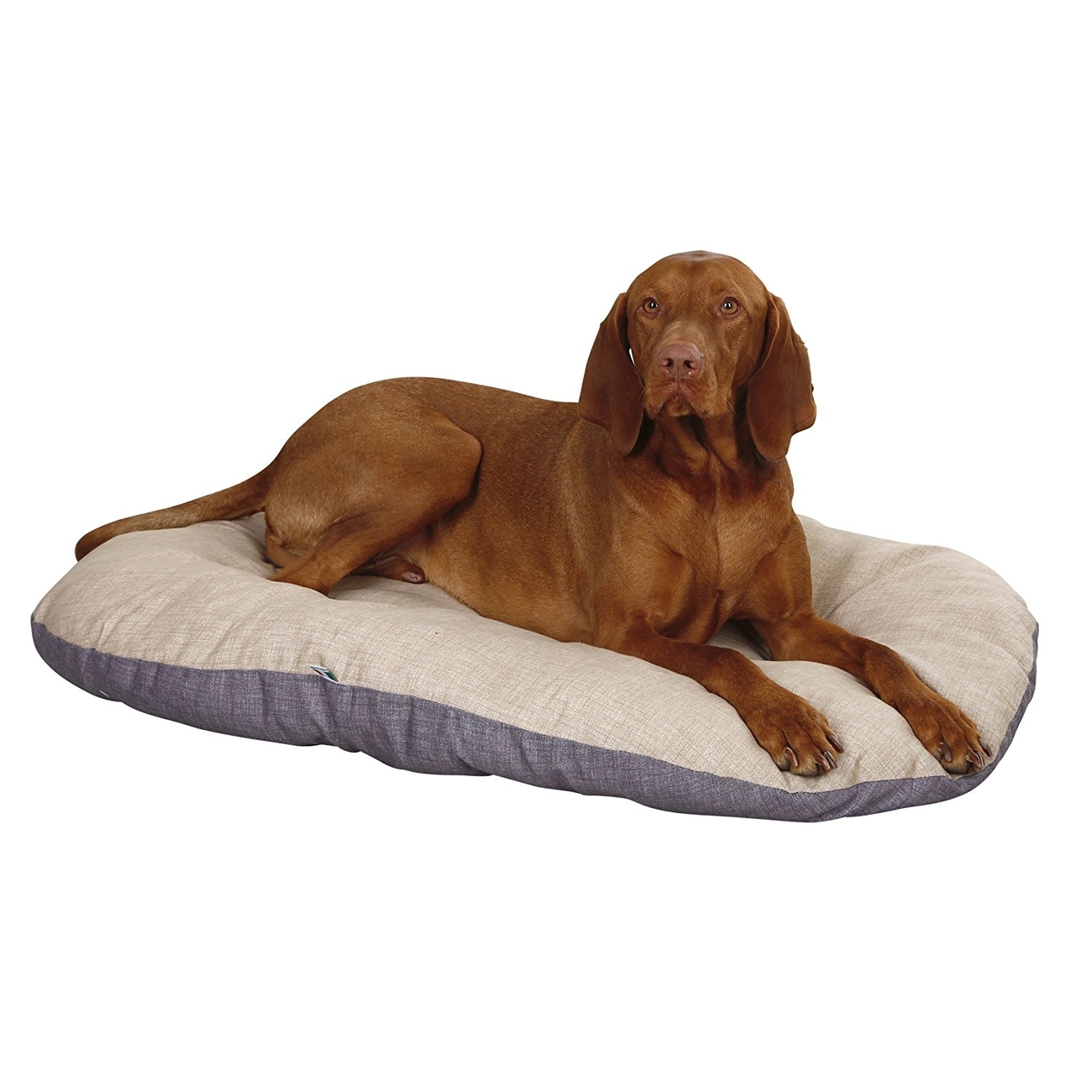 Hunde Liegekissen Loneta oval Bild 2