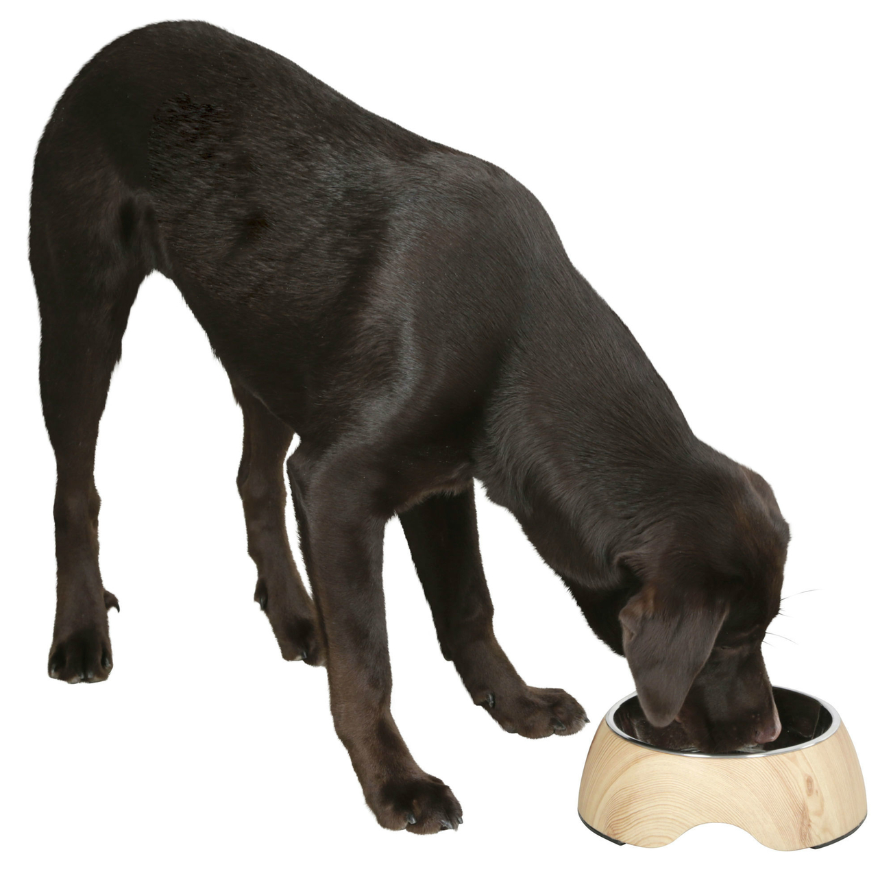 Hunde Melaminnapf Wood Bild 2