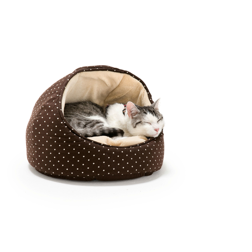 Hunde oder Katzen Igloo White Dots Bild 7