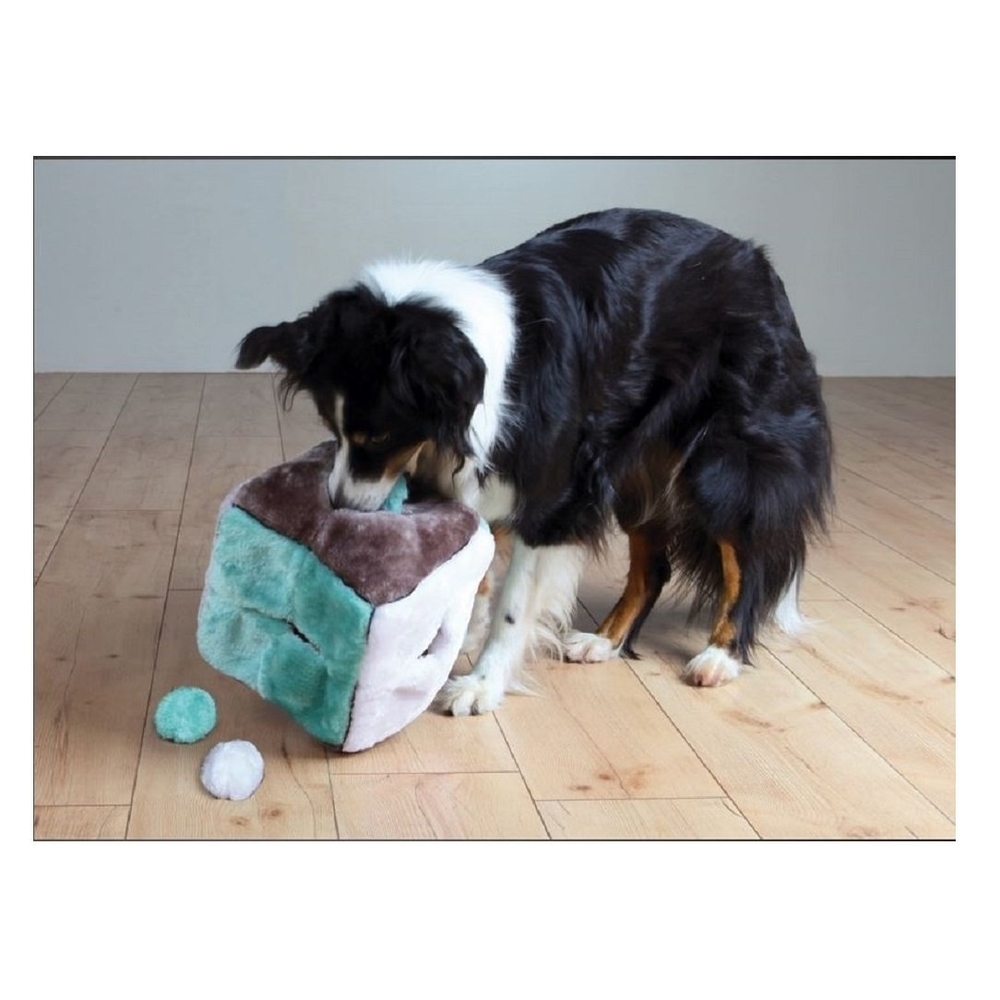 Hunde Plüschwürfel mit 4 Spielbällen Bild 2