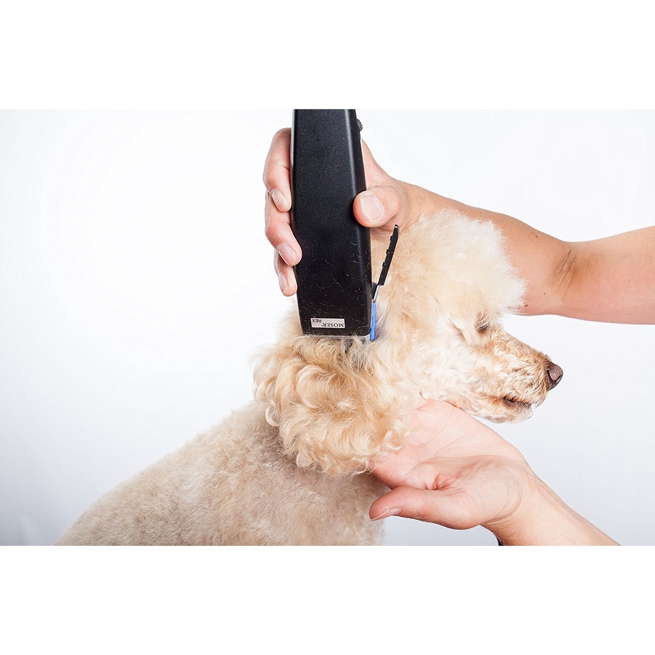 Hunde Schermaschine Moser Rex Bild 5