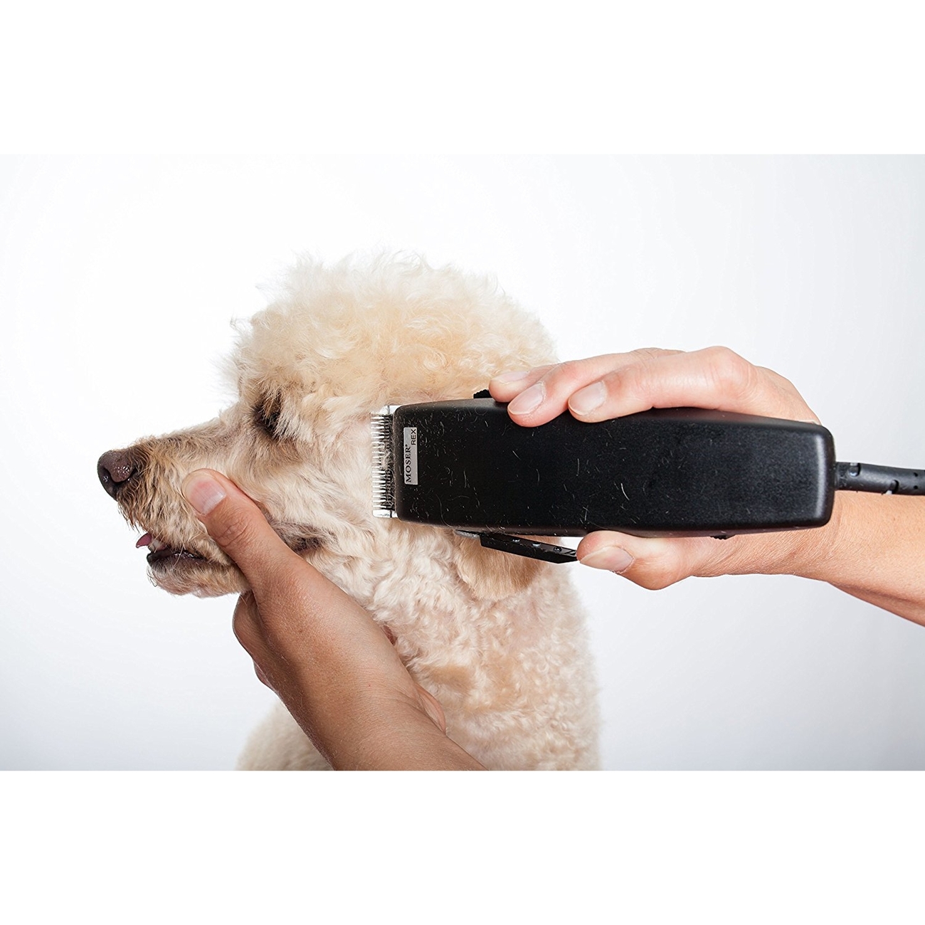 Hunde Schermaschine Moser Rex Bild 7