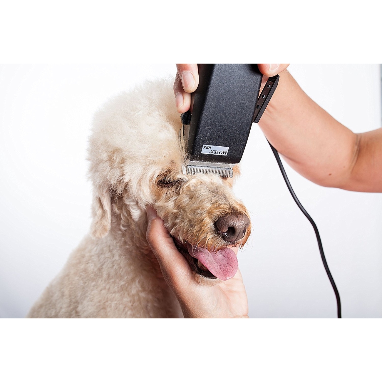 Hunde Schermaschine Moser Rex Bild 8