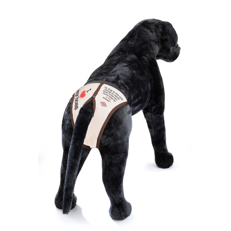 Hunde Dog Pants Schutzhose bei Läufigkeit Bild 5