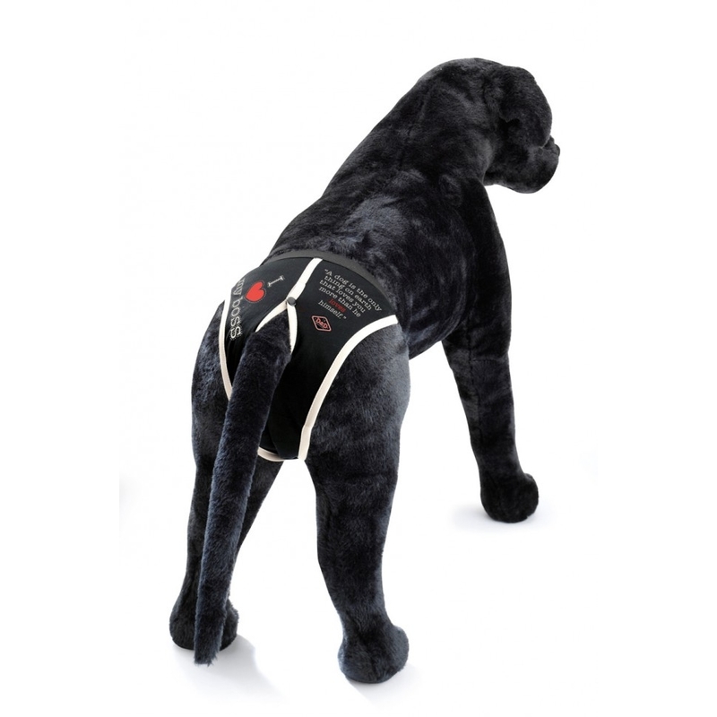 Hunde Dog Pants Schutzhose bei Läufigkeit Bild 6