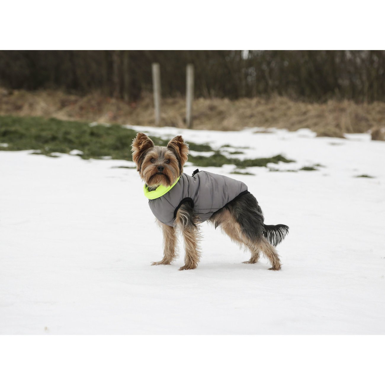 Hunde Steppmantel Wendemantel Charmonix Bild 8