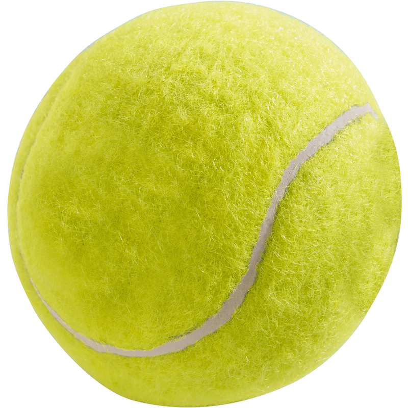 Wozu Ist Der Filz Auf Dem Tennisball Hunde Tennisball 12er Pack Filz 92378 von Hunter online kaufen