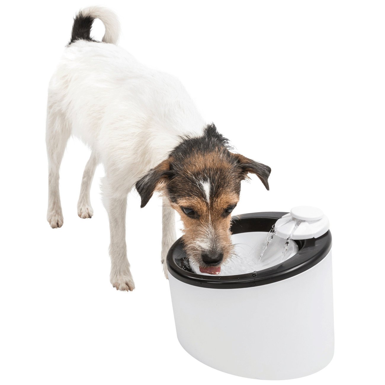 Hunde Trinkbrunnen Wasserautomat Triple Flow Bild 3