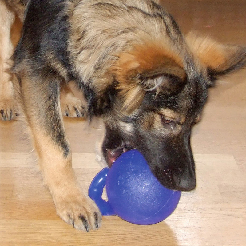 Hundeball Pet Pal mit Griff Bild 2