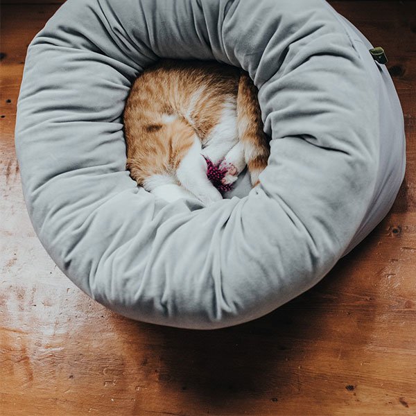 Hundebett und Katzenbett Miranda Bild 3