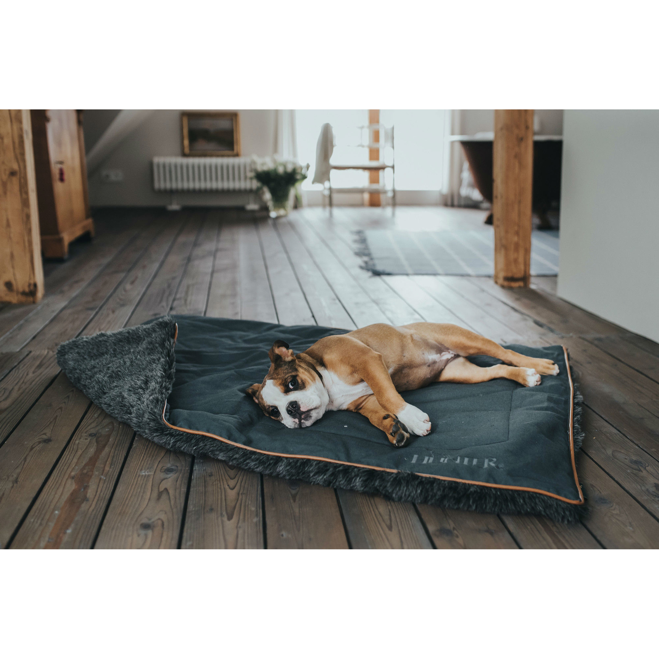 Hunter Hundedecke Bergamo Bild 5