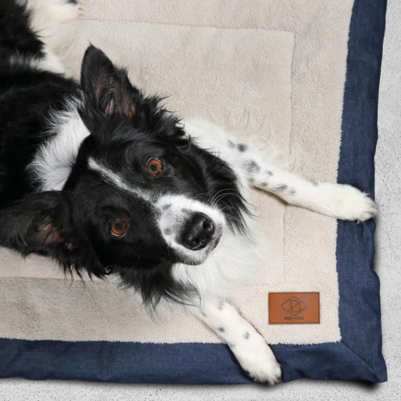 Hundedecke Davy aus Kanevas Bild 2