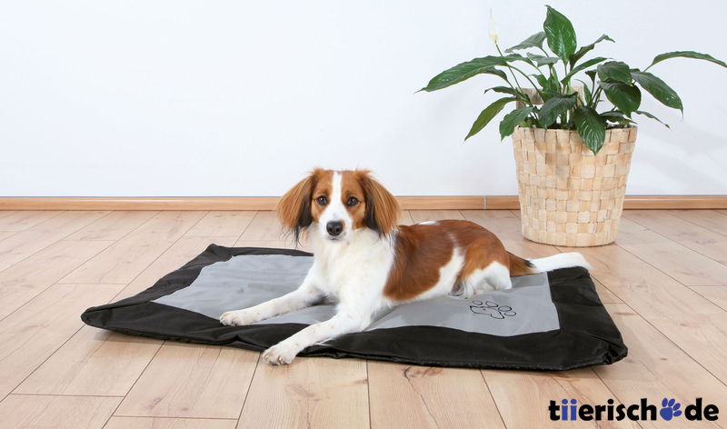 Hundedecke Drago mit Nylon Bezug Bild 2