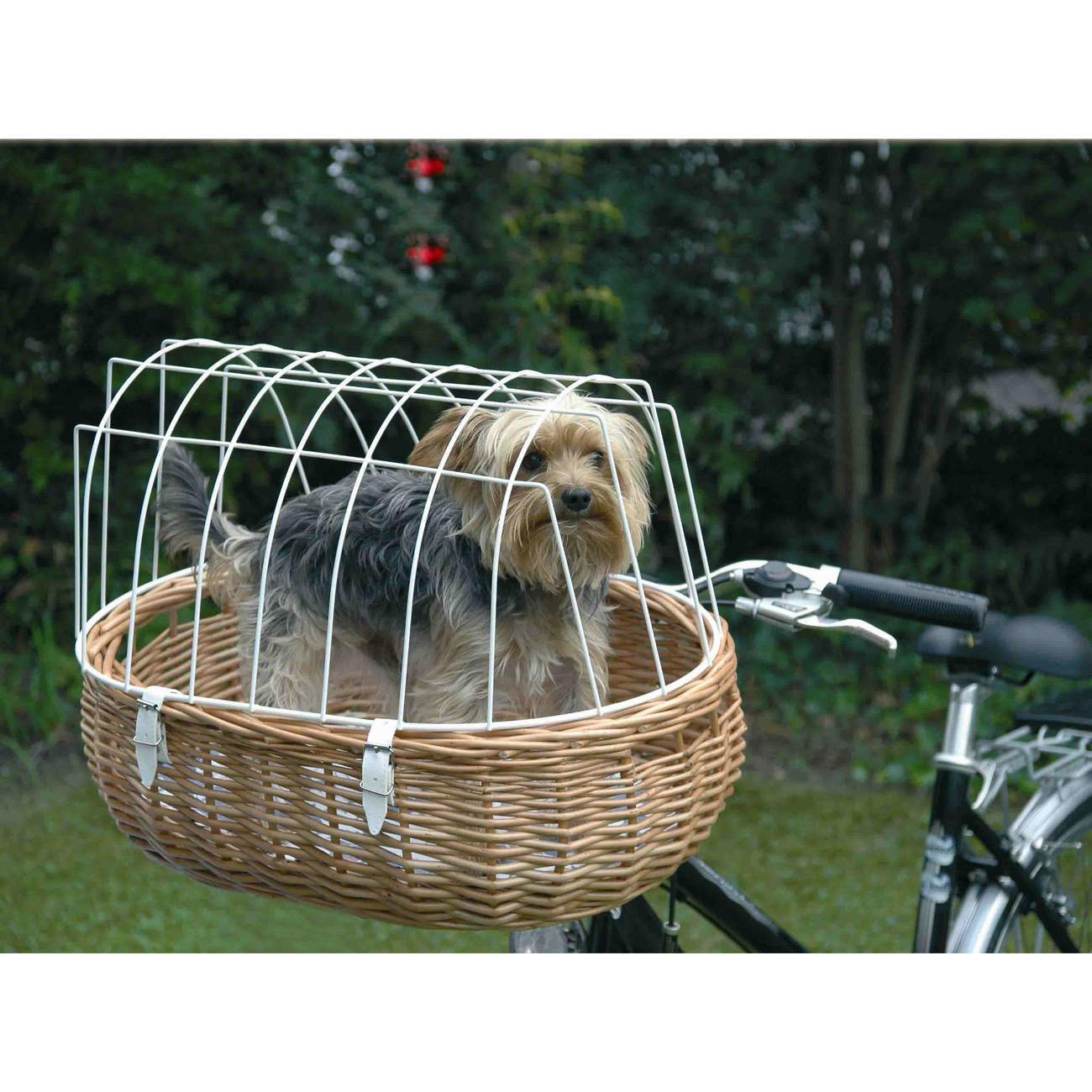 Hundefahrradkorb Steuerkopfmontage vorne Bild 6