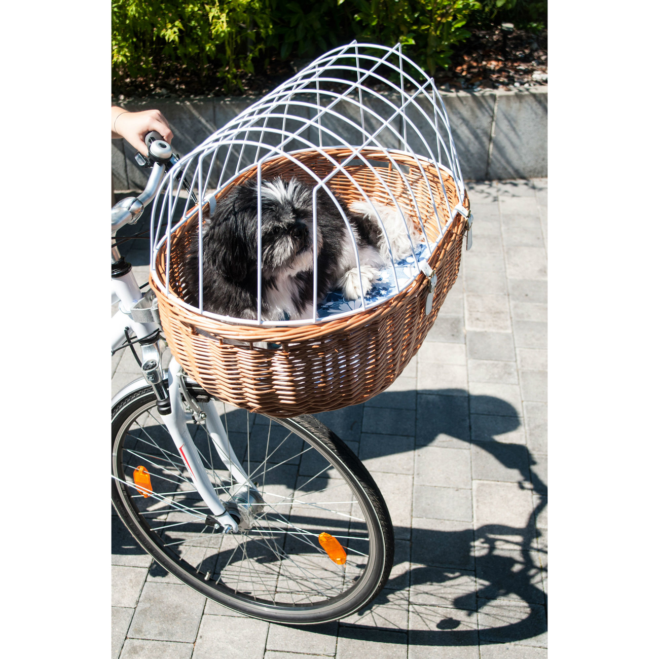 Hundefahrradkorb Steuerkopfmontage vorne Bild 5