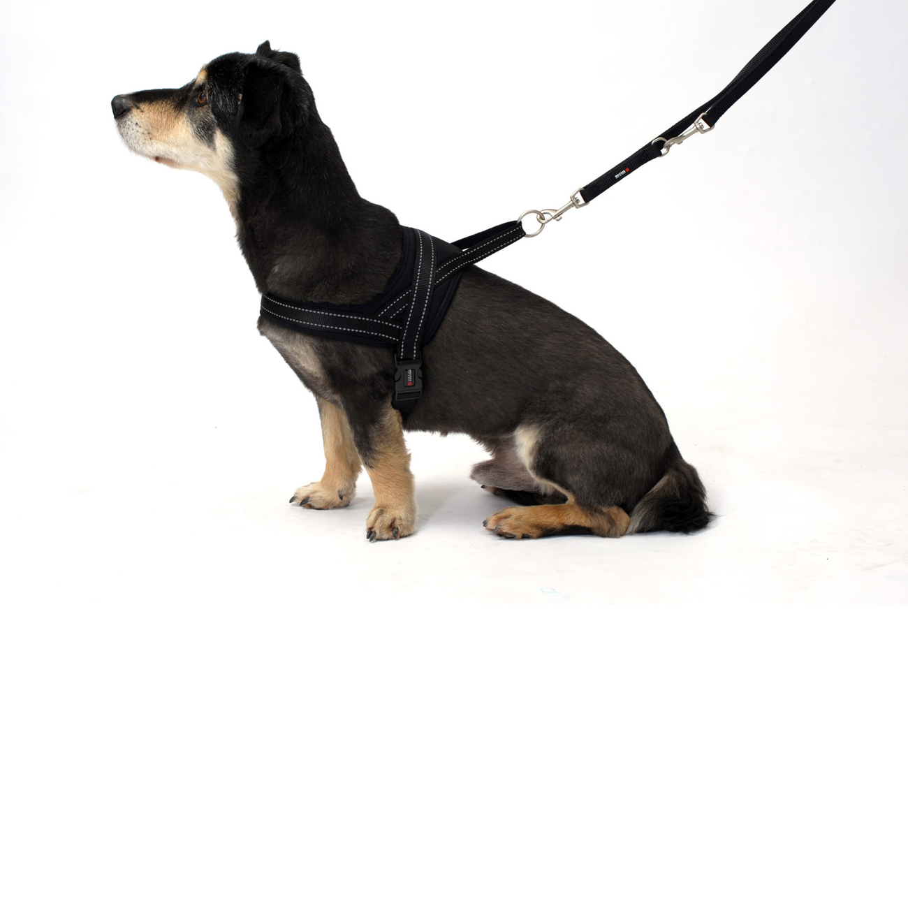 Hundegeschirr Soft & Safe reflektierend Bild 10