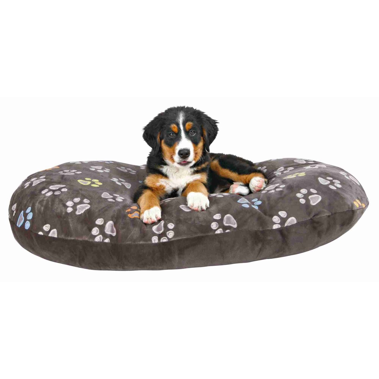 Hundekissen Jimmy oval Bild 3
