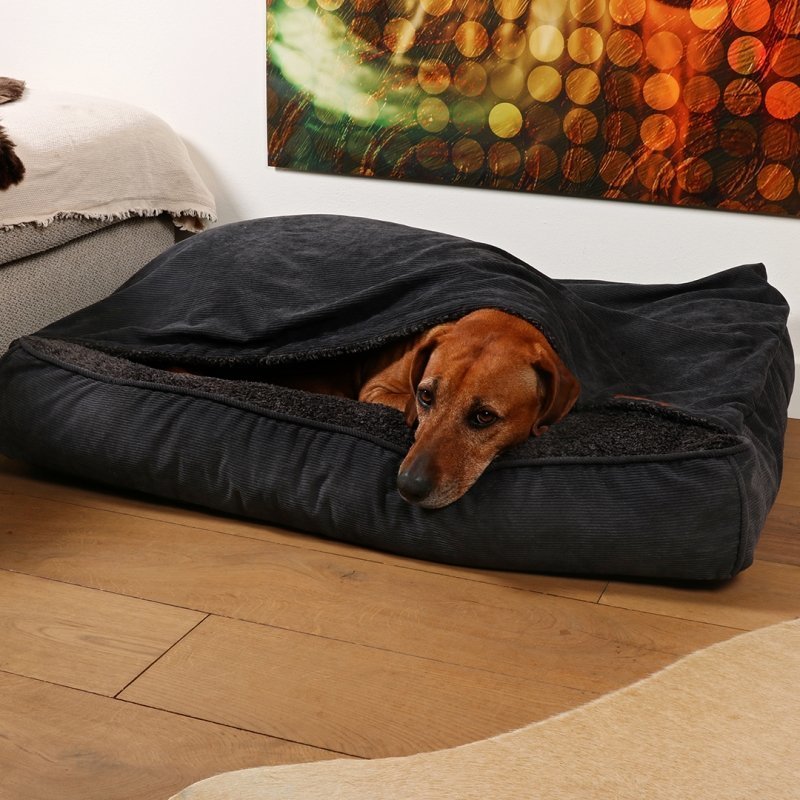 Hundekissen Toby mit Decke Bild 2