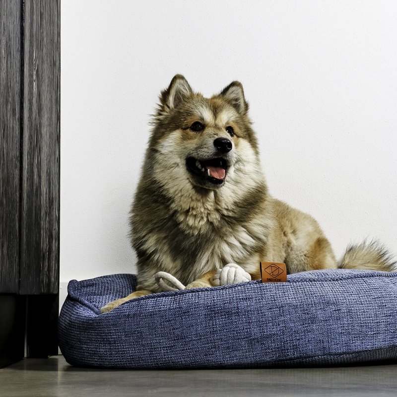 Hundekissen Vince Bild 4