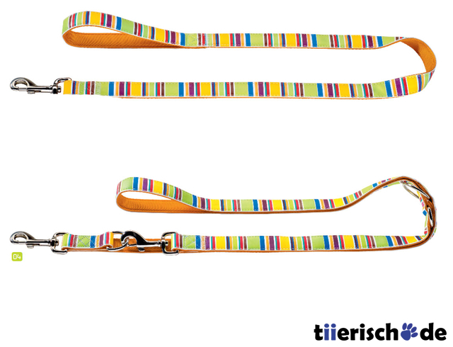 Hundeleine Fancy Stripes Bild 1