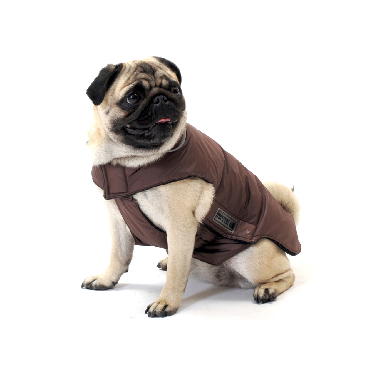 Hundemantel Outdoorjacke Jack für Mops & Co Bild 3